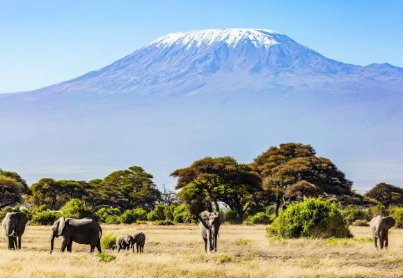 Mount Kilimanjaro image